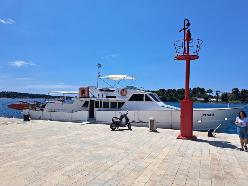 UMAG: Swimming&Panorama / Welcome Drink and Dolphin spotting - Should You Book UMAG Swimming & Panorama?