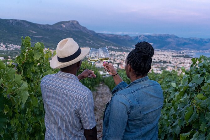 Vineyard Experience: Wine Tasting near Split - Key things I’d mark on your plan