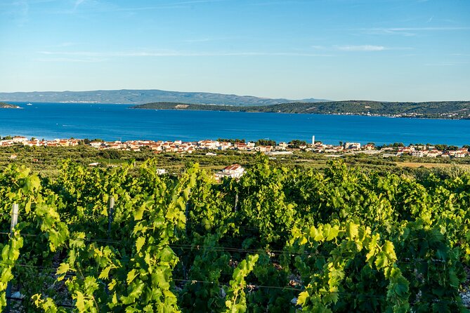Vineyard Experience: Wine Tasting near Split - Getting There Like a Pro: From Diocletian’s Palace to the Vineyard