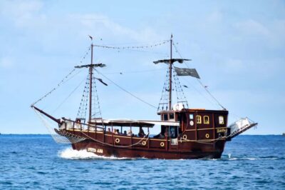 Vrsar: Dolphin Watching Boat Ride - The 2-Hour Cruise: How the Dolphin-Spotting Works