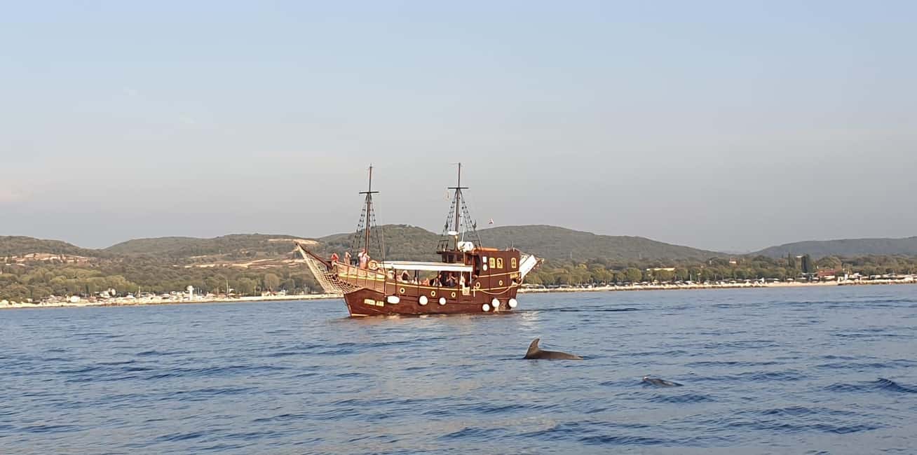 Vrsar: Dolphin Watching Boat Ride - The Boat Sveta Ana: Why the Ship Matters