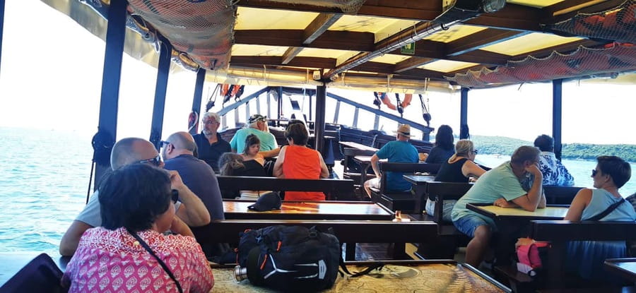 Vrsar: Dolphin Watching Boat Ride - Who This Tour Fits Best
