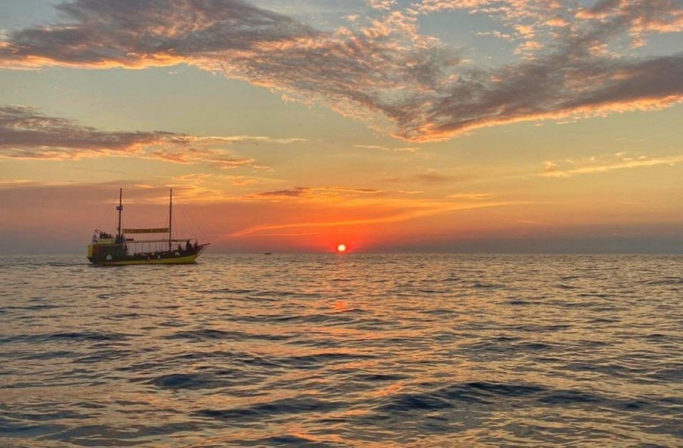 Vrsar: Dolphin Watching Boat Tour including Drinks - Key things I’d bank on before you go