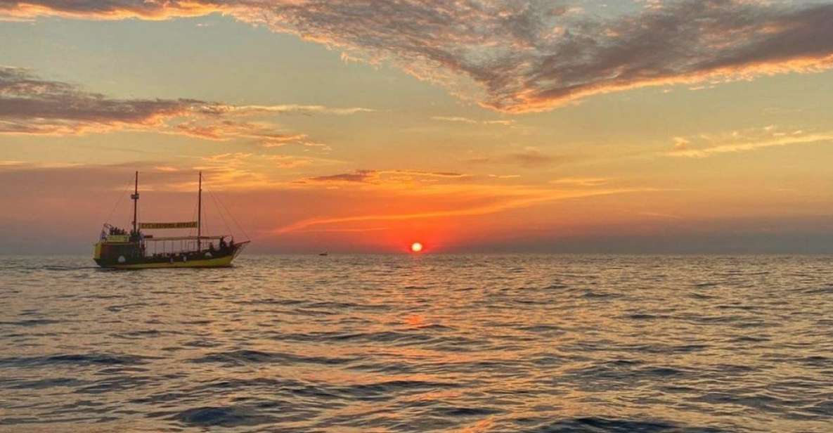 Vrsar: Dolphin Watching Boat Tour including Drinks - Comfort and practicalities for your day in Vrsar
