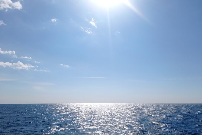 Vrsar, Lim Fjord and Rovinj Day Tour by Boat with Drinks - Swim Stops and the Included Drinks That Change the Mood