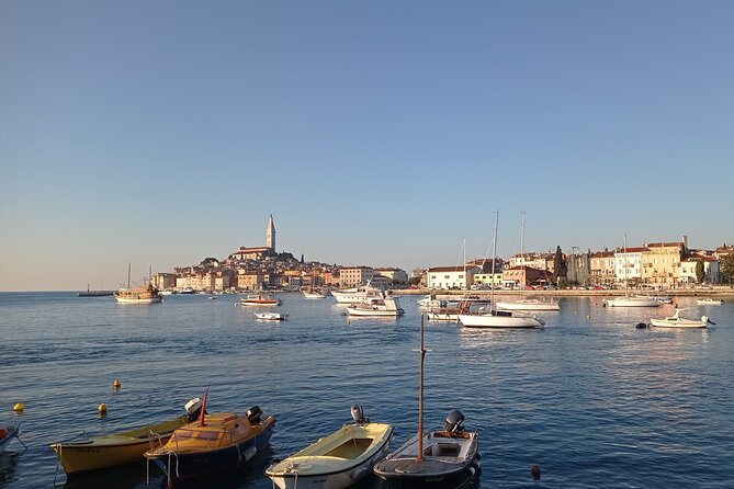 Vrsar, Lim Fjord and Rovinj Day Tour by Boat with Drinks - Who This Tour Suits Best