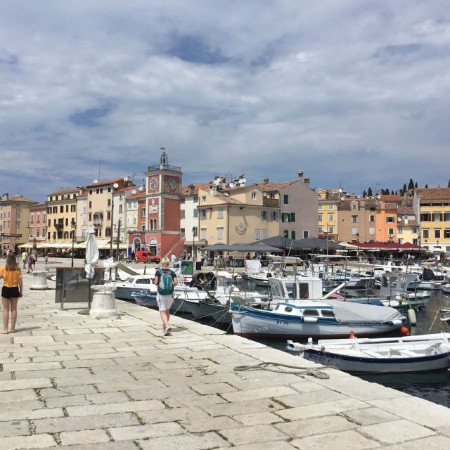 Vrsar: Lim Fjord - Rovinj Fish Picnic - Key takeaways