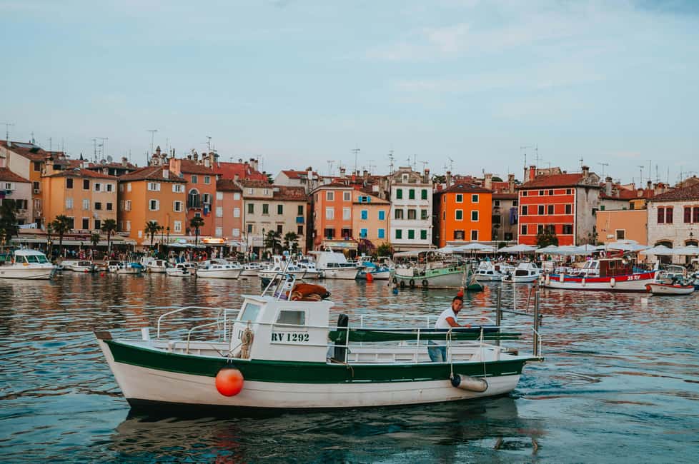VRSAR: Night Boat Tour to Rovinj with Dolphin Watching - Why this Vrsar to Rovinj night cruise feels special