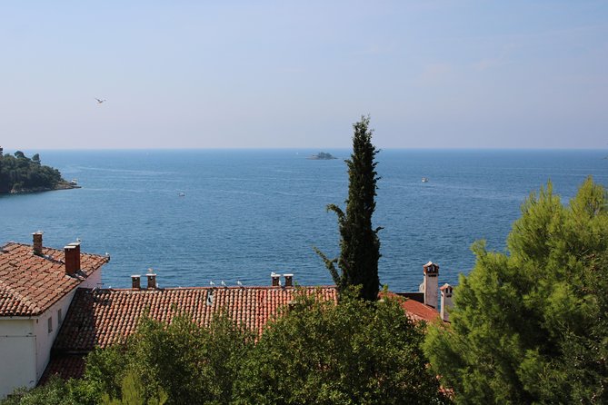 Walking tour of Rovinj - Guide style that actually helps: warmth, pacing, and shade