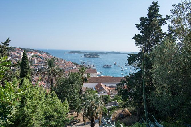Water Taxi Ride from Hvar to Split Airport - Key highlights worth planning around