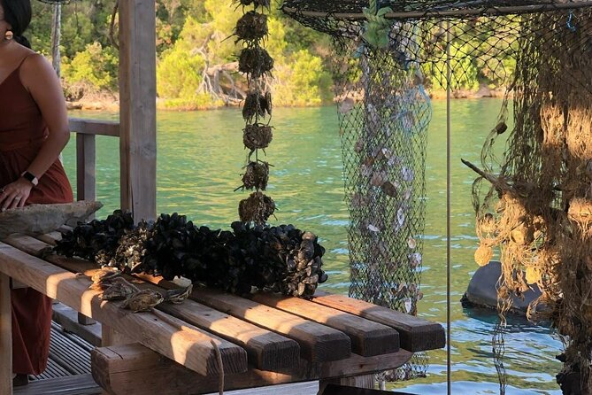 Wine and Food Daily Tour - What you’re really paying for: value of a private group tour at $481.17