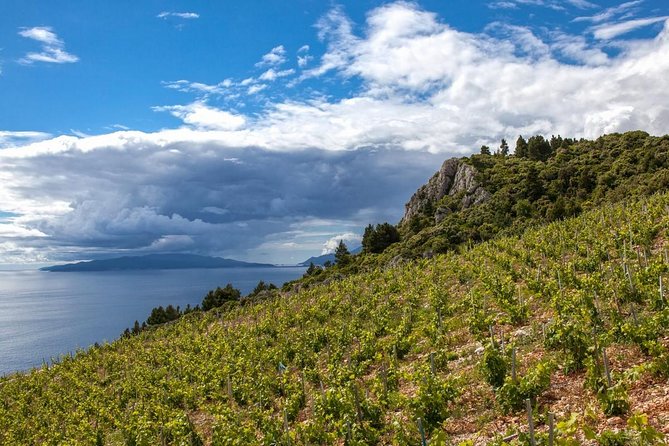 Wine Lover's Tour From Dubrovnik - Key Things You’ll Notice on This Tour