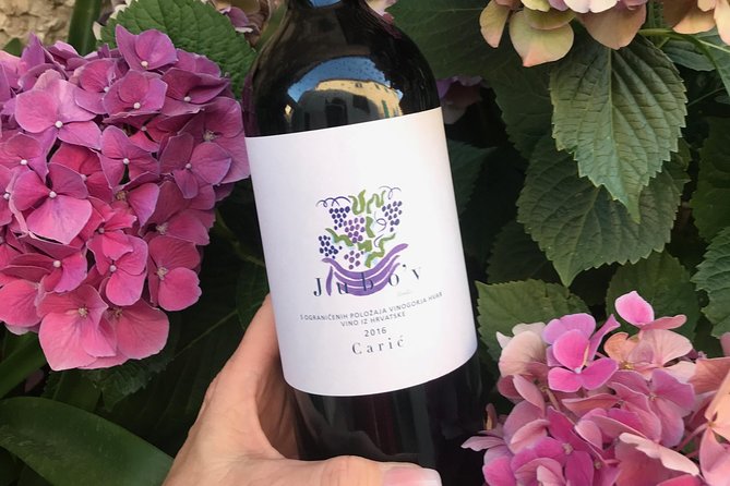 Wine Lovers tour from Hvar - Vrisnik and Jo Ahearne: when wine education meets island grapes