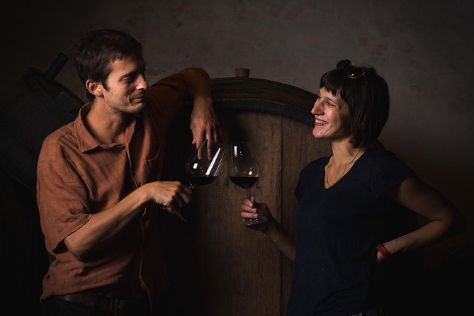 Wine Lover's Tour of Peljesac Peninsula - Who this Pelješac wine day suits best