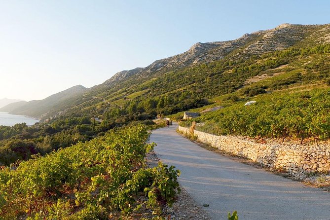 Wine Lover's Tour of Peljesac Peninsula - Pickup from Hotel Petka: easy start, clear end