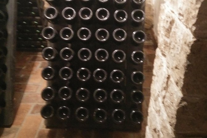 Wine & more Tour , private guided wine tour from POREC, UMAG ,Istria - How the tastings really feel: up to 12 wines and olive oil too