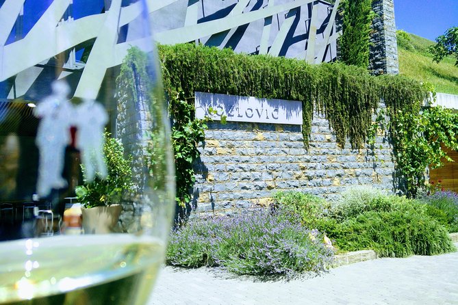 Wine & more Tour , private guided wine tour from ROVINJ & PULA to wine cellars - Wine & more Tour: The Istria Wine Day That Balances Tasting and Scenery