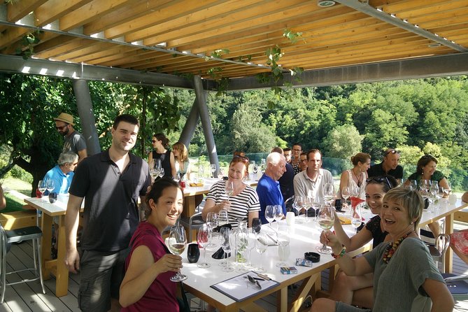 Wine & more Tour , private guided wine tour from ROVINJ & PULA to wine cellars - Price and Logistics: What You’re Paying For at $438.09