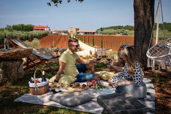 Wine picnic - Key Things You’ll Notice Right Away
