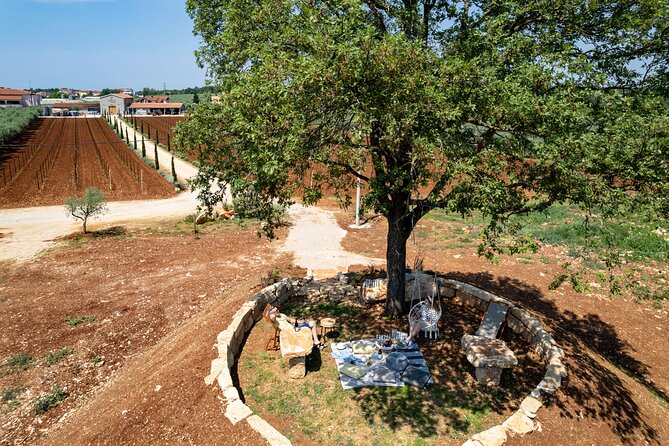 Wine picnic - The Private Hill: Views, Shade, and Photo-Friendly Timing