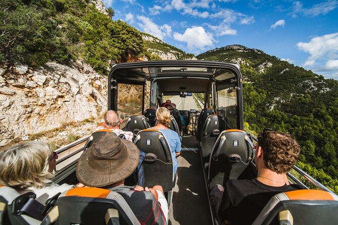 Wine & Sightseeing Tour Korcula - Guides, group size, and why your experience may vary