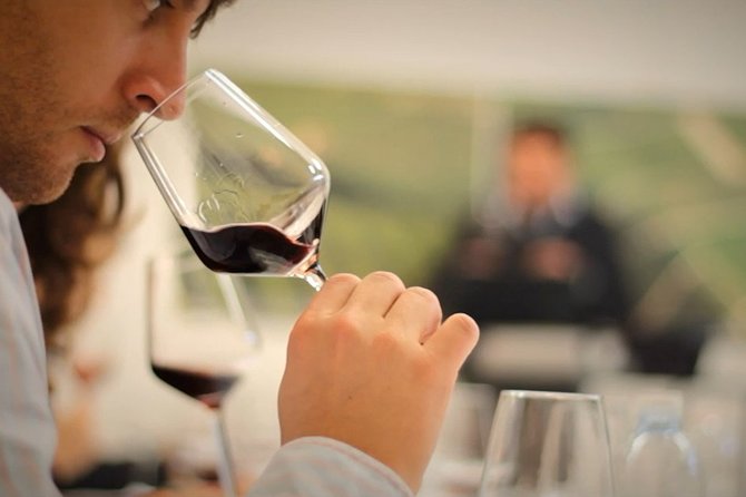 Wine Tasting Experience at the organic winery in Šišan - Šišan: a short drive that feels like a real local stop