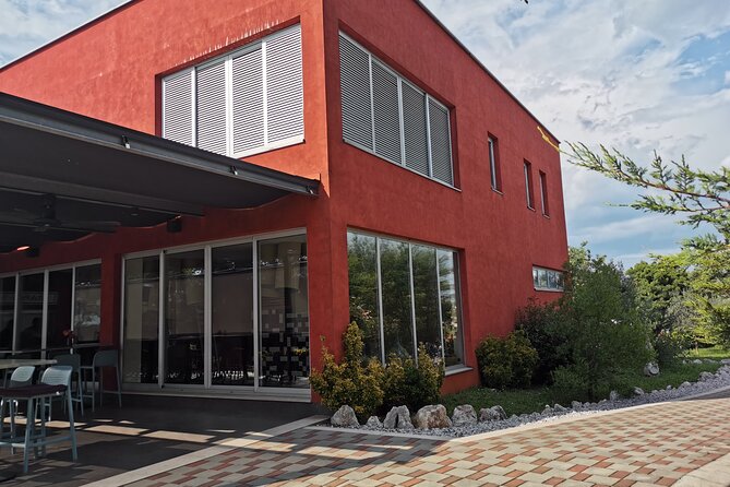 Wine Tasting Experience at the organic winery in Šišan - Logistics that matter: group size, timing, and how to avoid disappointment