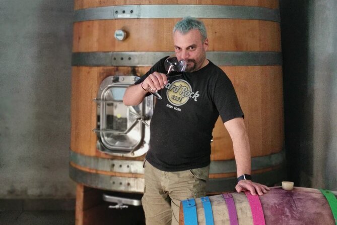 Wine Tasting Experience at the organic winery in Šišan - Who this tasting fits best in your Istria plan