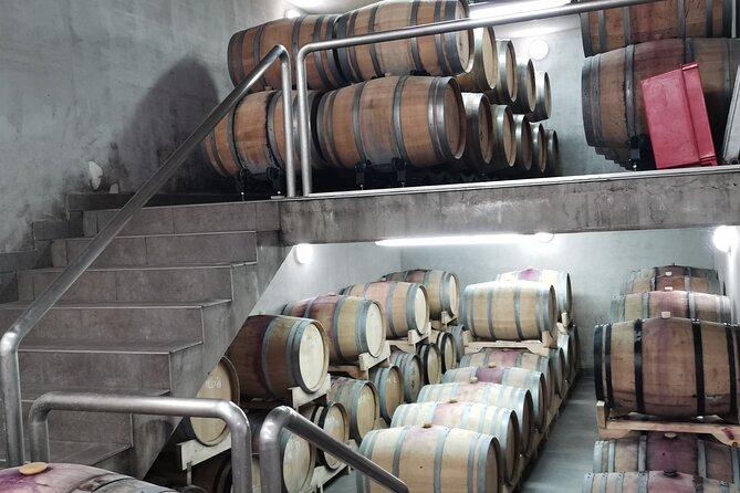 Wine Tasting Experience at the organic winery in Šišan - Entering Bruno’s modern wine station and tasting room