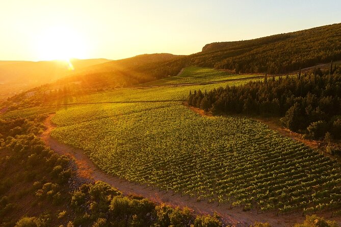 Wine Tasting Grabovac Tour From Makarska - FAQ
