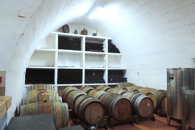 Wine Tasting & Winery Tours - Who This Tour Fits Best (and Who Might Want a Different Plan)