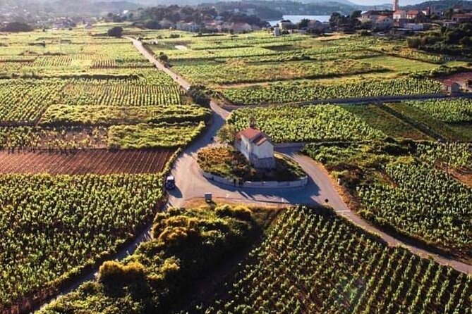 Wine tour Korčula - private tour - Korčula Private Wine Tour: What This Trip Is Really For