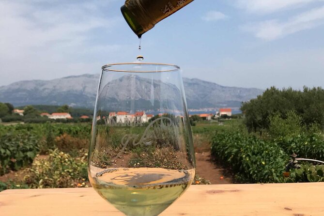 Wine tour Korčula - private tour - Pickup, Timing, and How to Plan Your Day