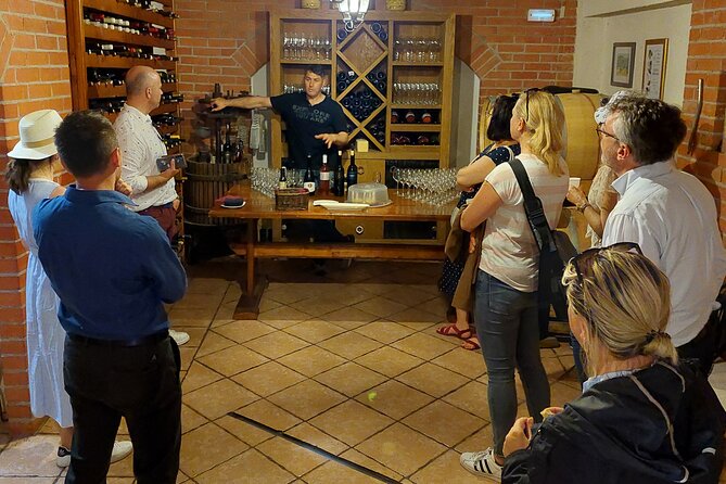 Wine tour Peljesac - What You Actually Get to Taste (And Why “Up to 4 Wines” Matters)