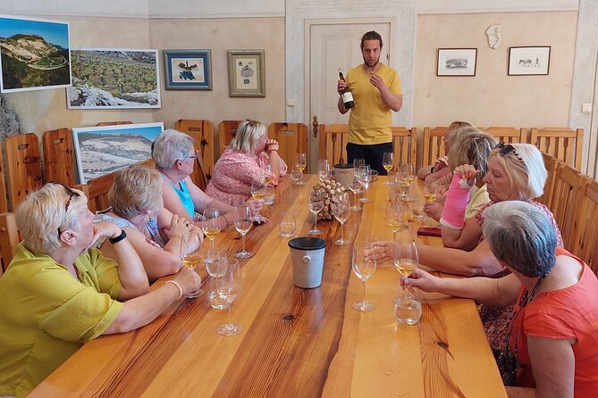 Wine tour Peljesac - Ordan’s Driver-Guide Effect: Small Group, Big Conversation Value