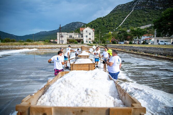 Wine tour peninsula Pelješac - Getting to Ston: the D8 drive that sets the mood