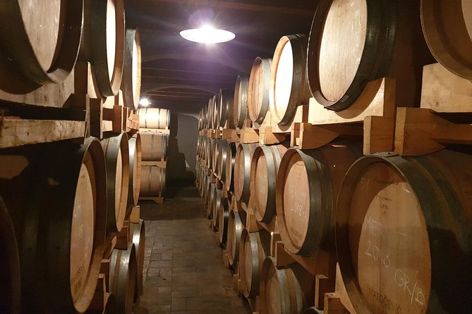 Wine Tour - The Best of Istria - Key things to know before you go
