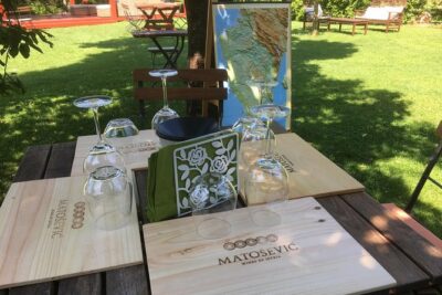 Wine Tour - The Best of Istria - Three wineries, different approaches: how tastings actually teach you Istria