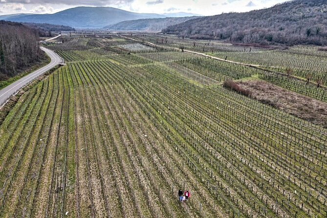 Winery Tour and Tasting with the Sommelier in KRK - Key things to know before you go