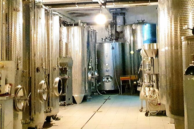 Winery Tour and Tasting with the Sommelier in KRK - Price and value: what $62.61 really buys