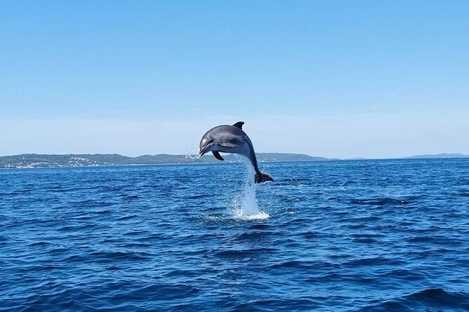 Zadar 1/2 Day Boat Tour with Skipper - Starting at 8:30: Meeting Point and What the Morning Feels Like