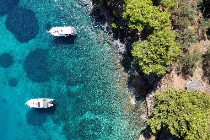 Zadar 1/2 Day Boat Tour with Skipper - Price and Value: Why $83 Feels Fair for This Kind of Day