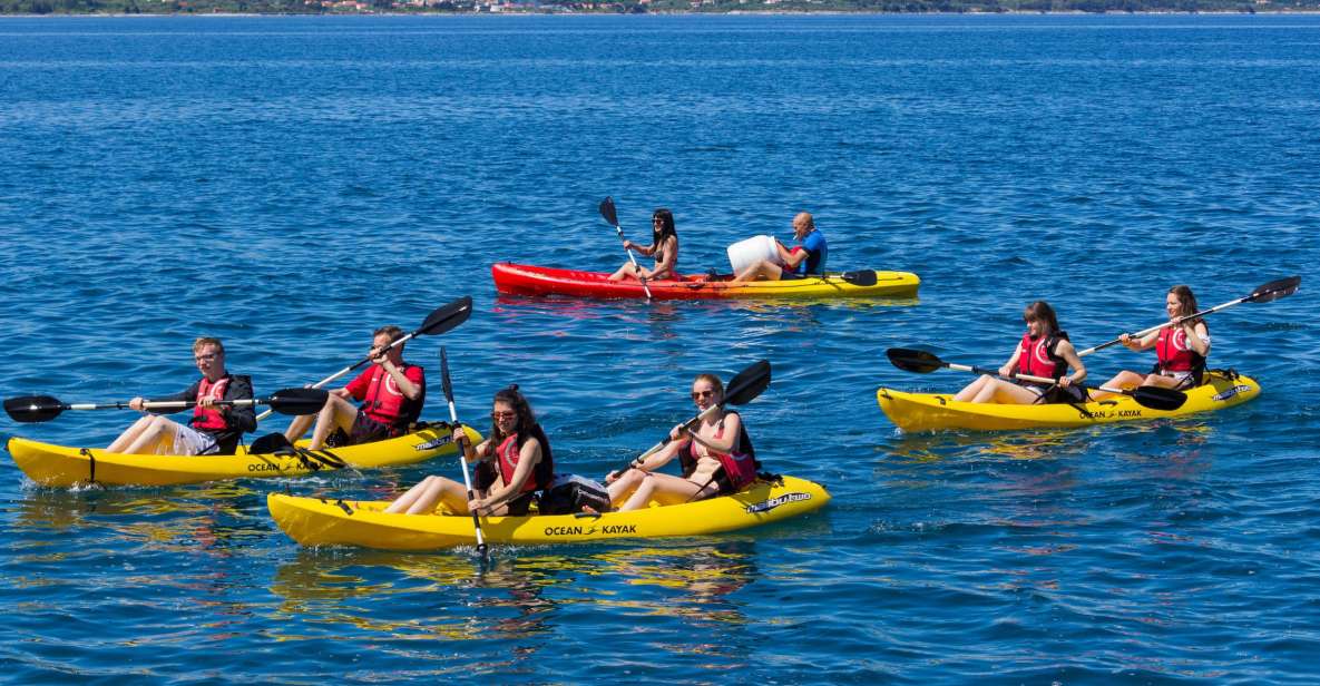 Zadar: 3–Hour Kayak Tour - The Swim-and-Drink Pause That Makes the 3 Hours Work
