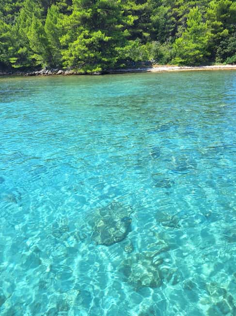 Zadar: Adventure on 6 islands, 3 lagoons, 1 cave, Bio Fruits - The included Bio Fruits, homemade white wine, and what that means for value