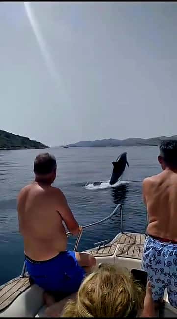 Zadar: Adventure on 6 islands, 3 lagoons, 1 cave, Bio Fruits - The 270 minutes that cover 6 islands, 3 lagoons, and a cave