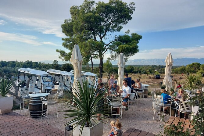 Zadar: City and Wine Tour in Zadar with Eco Tuk Tuk - Church of St. Donatus and the Roman Forum: The City’s Old Core