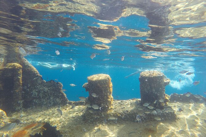 Zadar: Dugi Otok Island - 2x Snorkeling & Sandy Beach - 7 hr - Bozava village time: food, promenade walks, and island rhythm