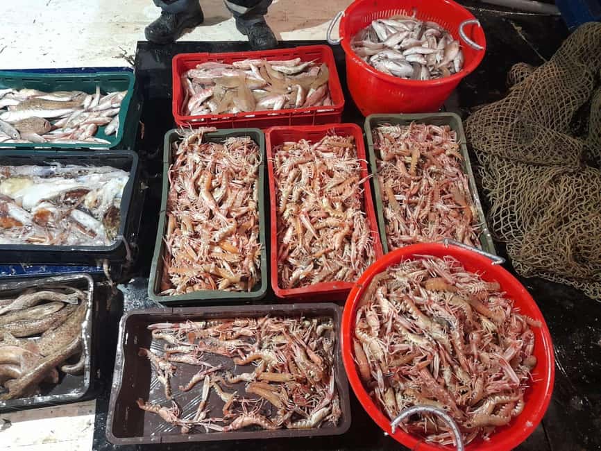 Zadar: Fishing Boat Trip with Lunch and Swimming Included - Lunch on Board: Fish, Meat, or Veg Done the Same Day