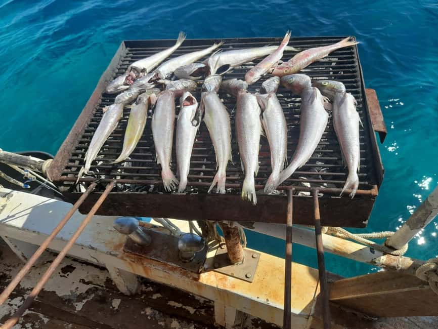 Zadar: Fishing Boat Trip with Lunch and Swimming Included - The Fishing Part: What You’ll See and What You May Be Asked to Help With