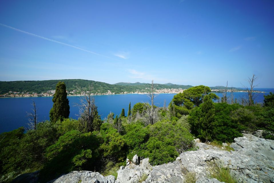 Zadar: Guided Speedboat Tour with Food, Oil & Wine Tasting - Who this Zadar speedboat tour suits best